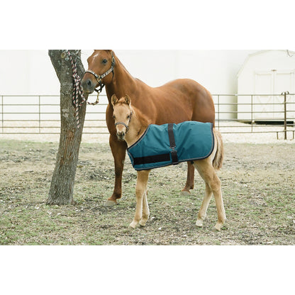 Kensington 1200D Adjustable Foal Turnout Blanket - 180g