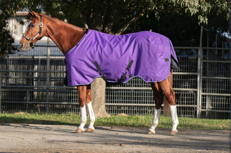 Kensington Signature Heavy Weight Turnout Blanket