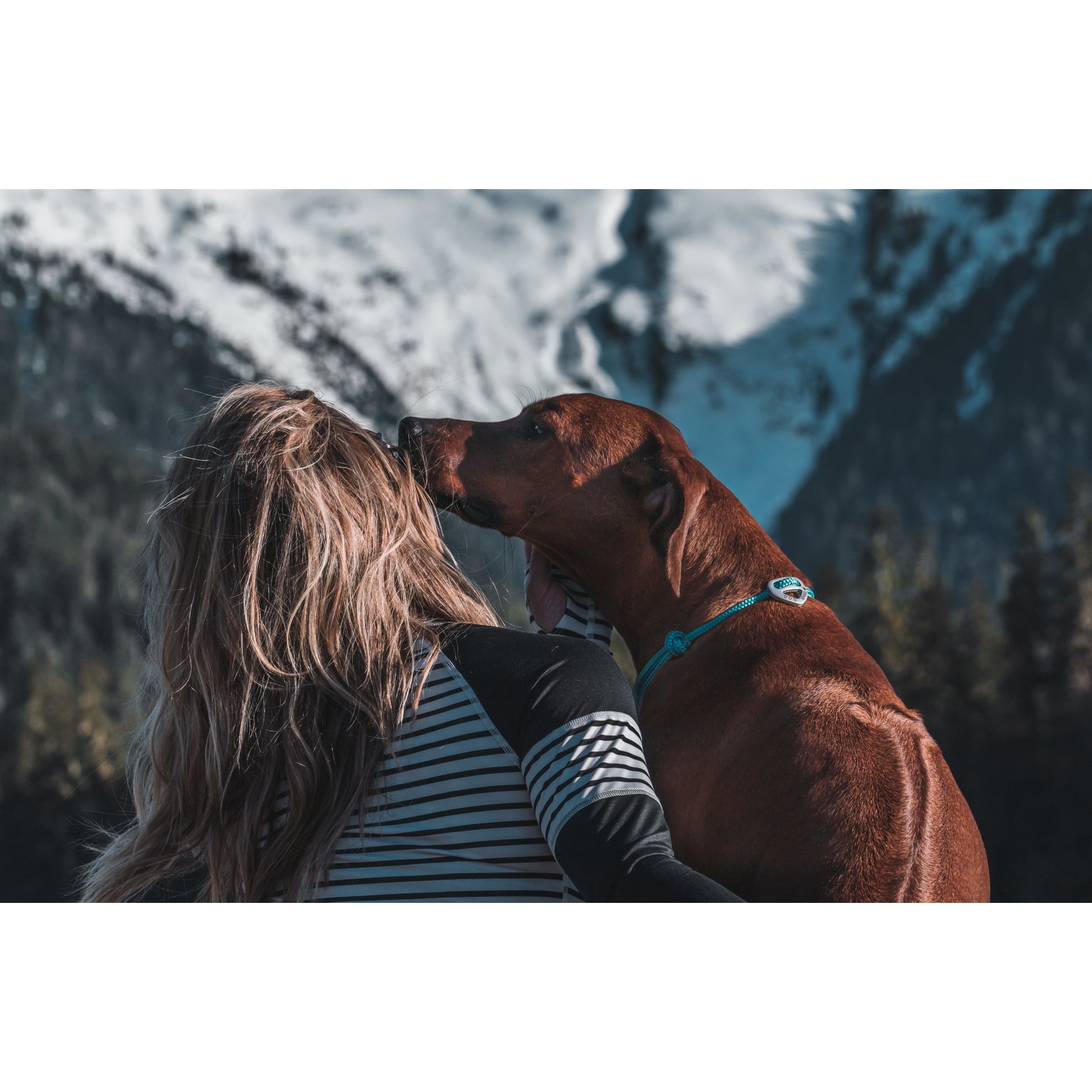 Weaver D.O.G. 1/4in Adj Rope Collar