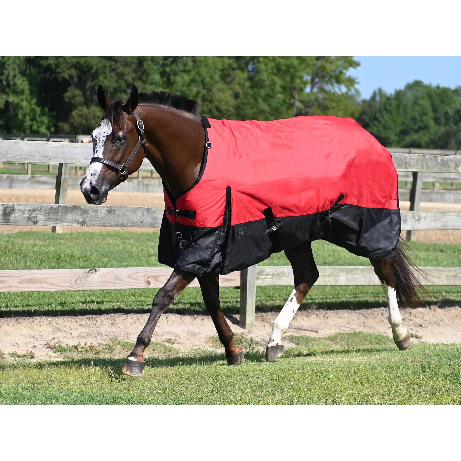 Tabelo Waterproof 600D Turnout Blanket