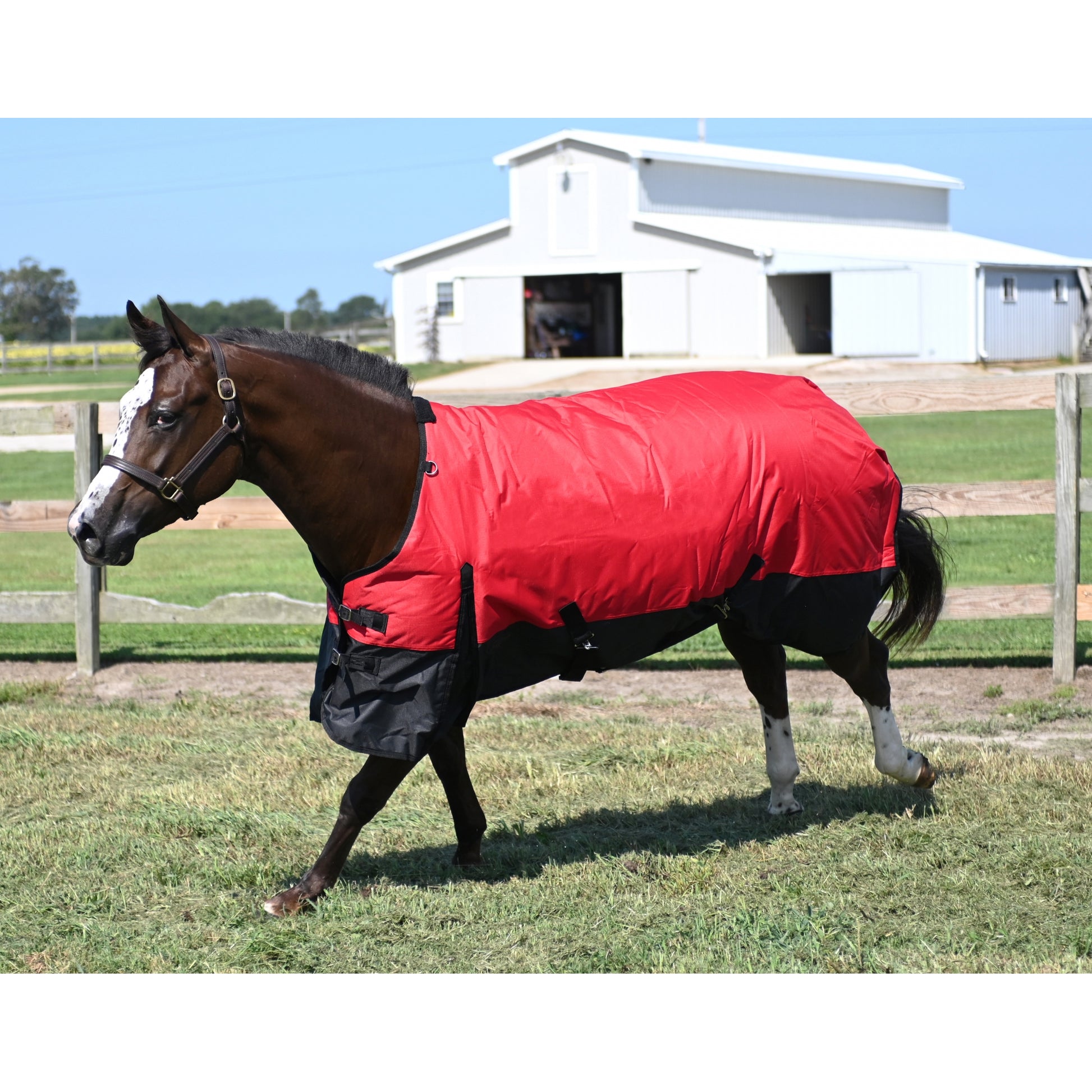 Tabelo Waterproof 600D Turnout Blanket