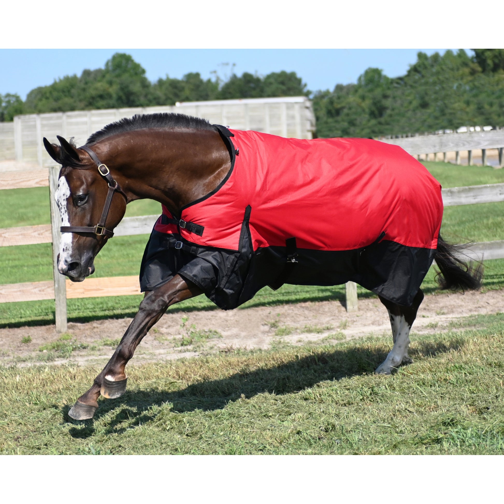 Tabelo Waterproof 600D Turnout Blanket