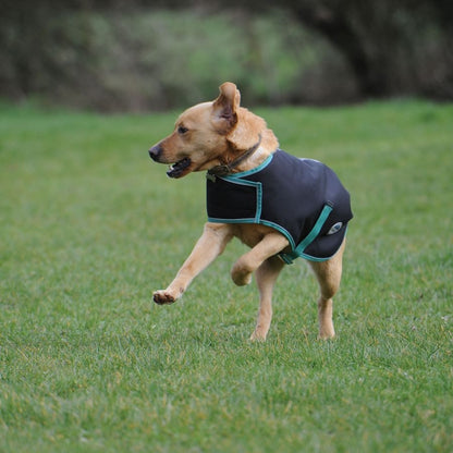 Weatherbeeta Green-Tec 900D Medium Weight Dog Coat