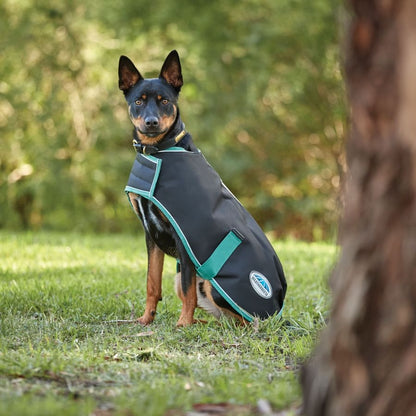 Weatherbeeta Green-Tec 900D Medium Weight Dog Coat