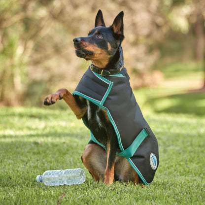 Weatherbeeta Green-Tec 900D Medium Weight Dog Coat