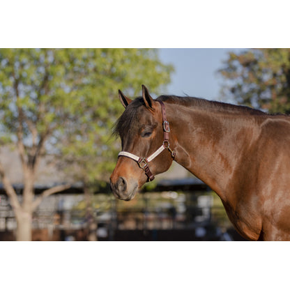 Kensington Reflective Nylon Halter