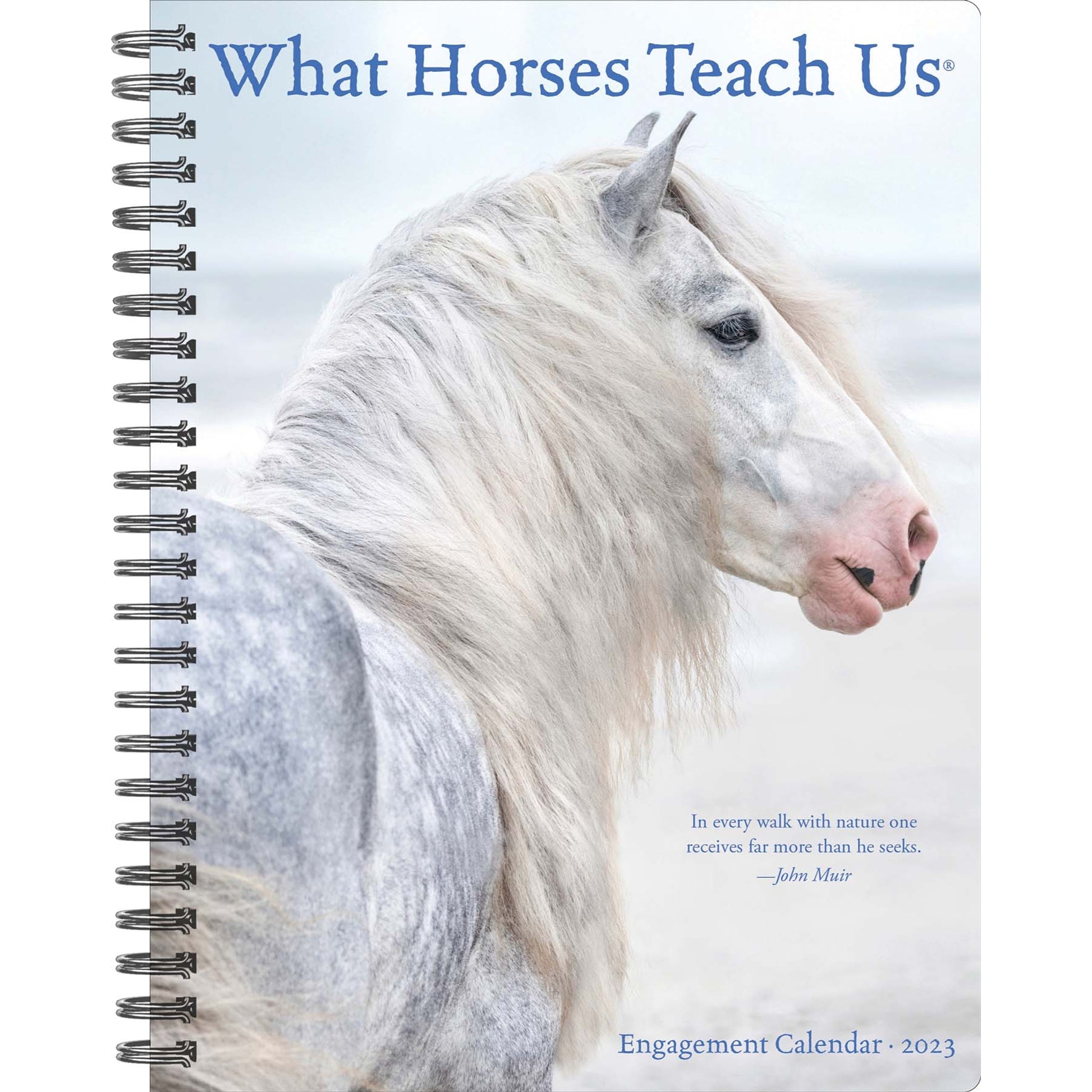 Kelley What Horses Teach Us 2023 Engagement Calendar
