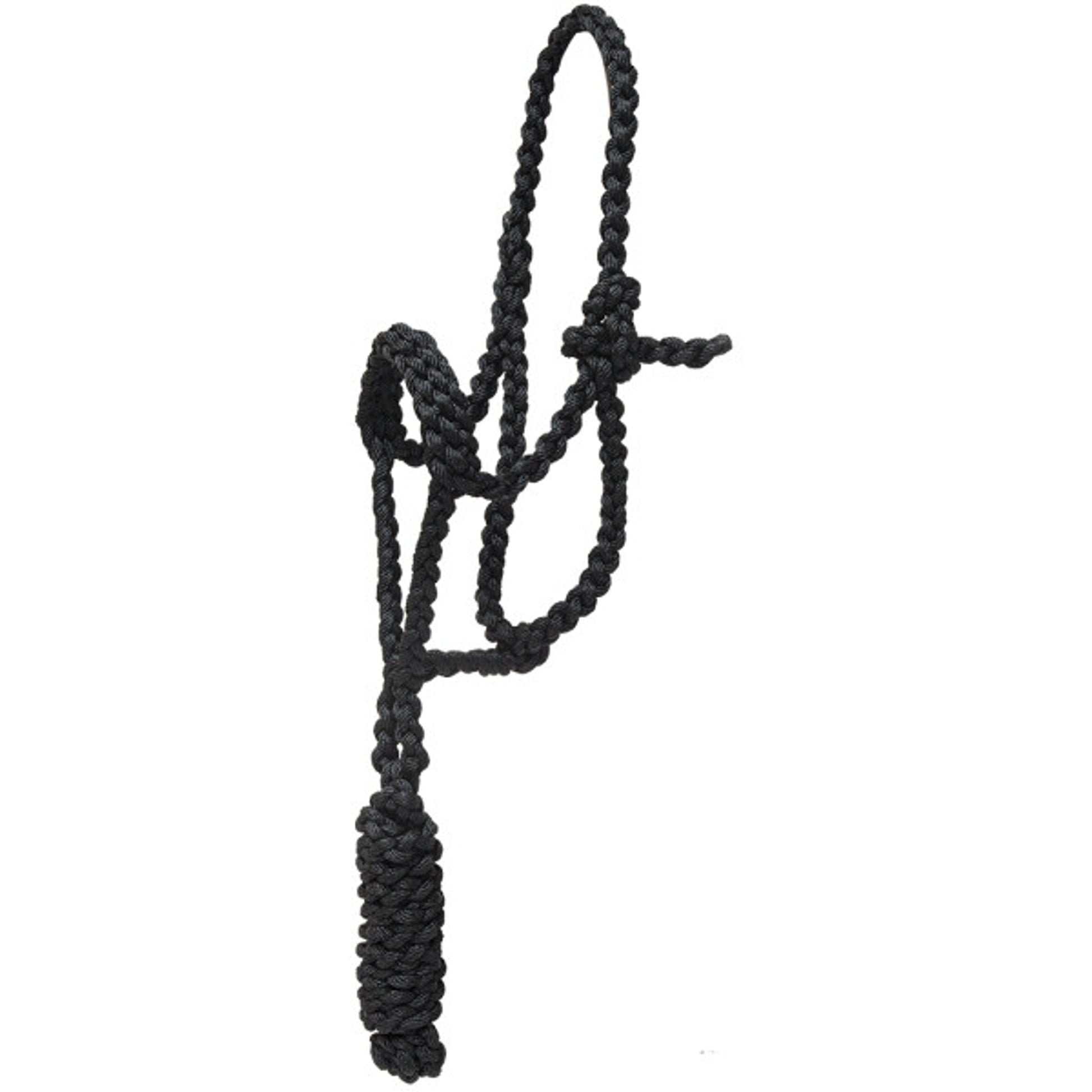 Mustang Pony Flat Plaited Noseband Halter with 7' Lead
