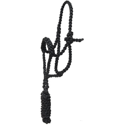 Mustang Pony Flat Plaited Noseband Halter with 7' Lead