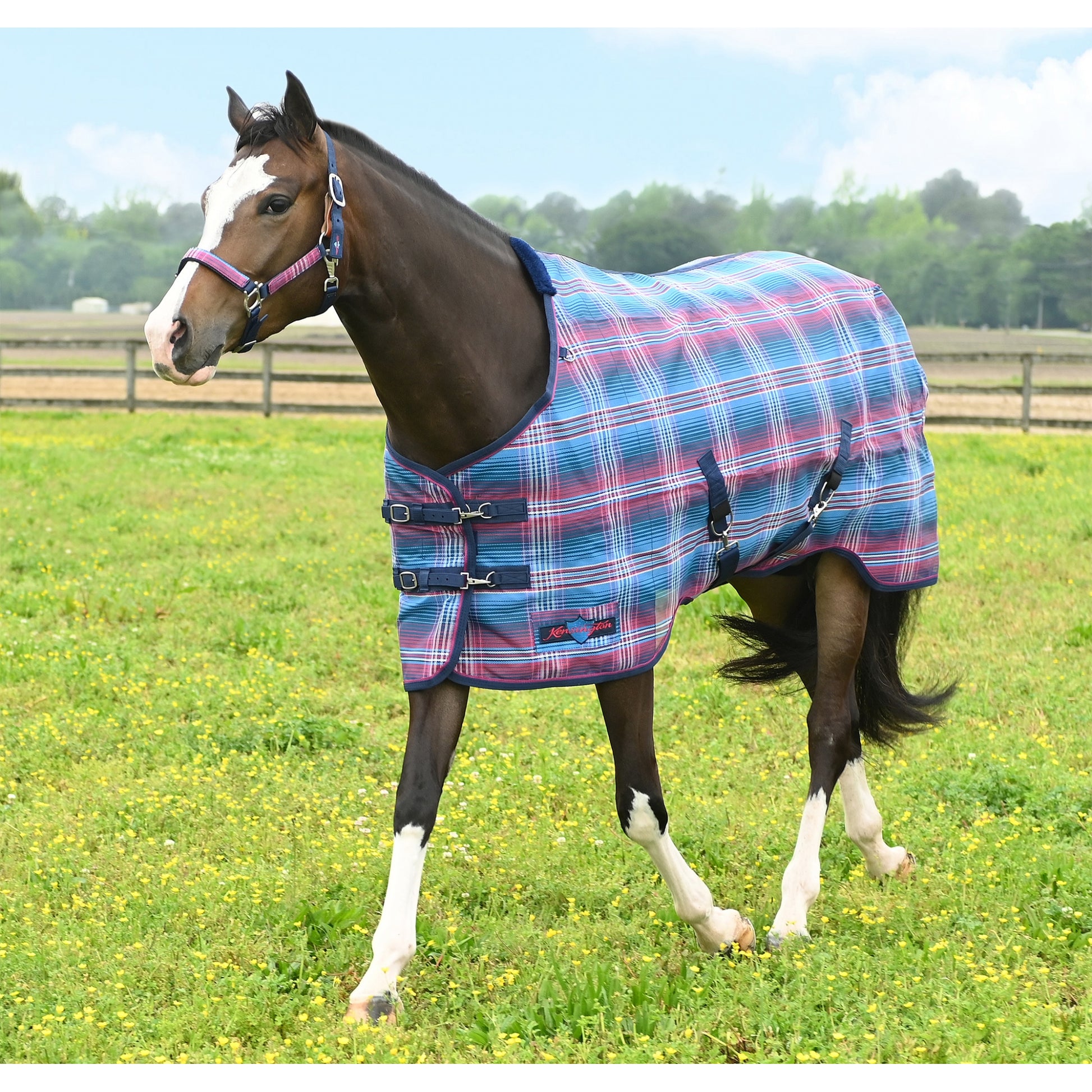 Kensington Pony Protective Fly Sheet