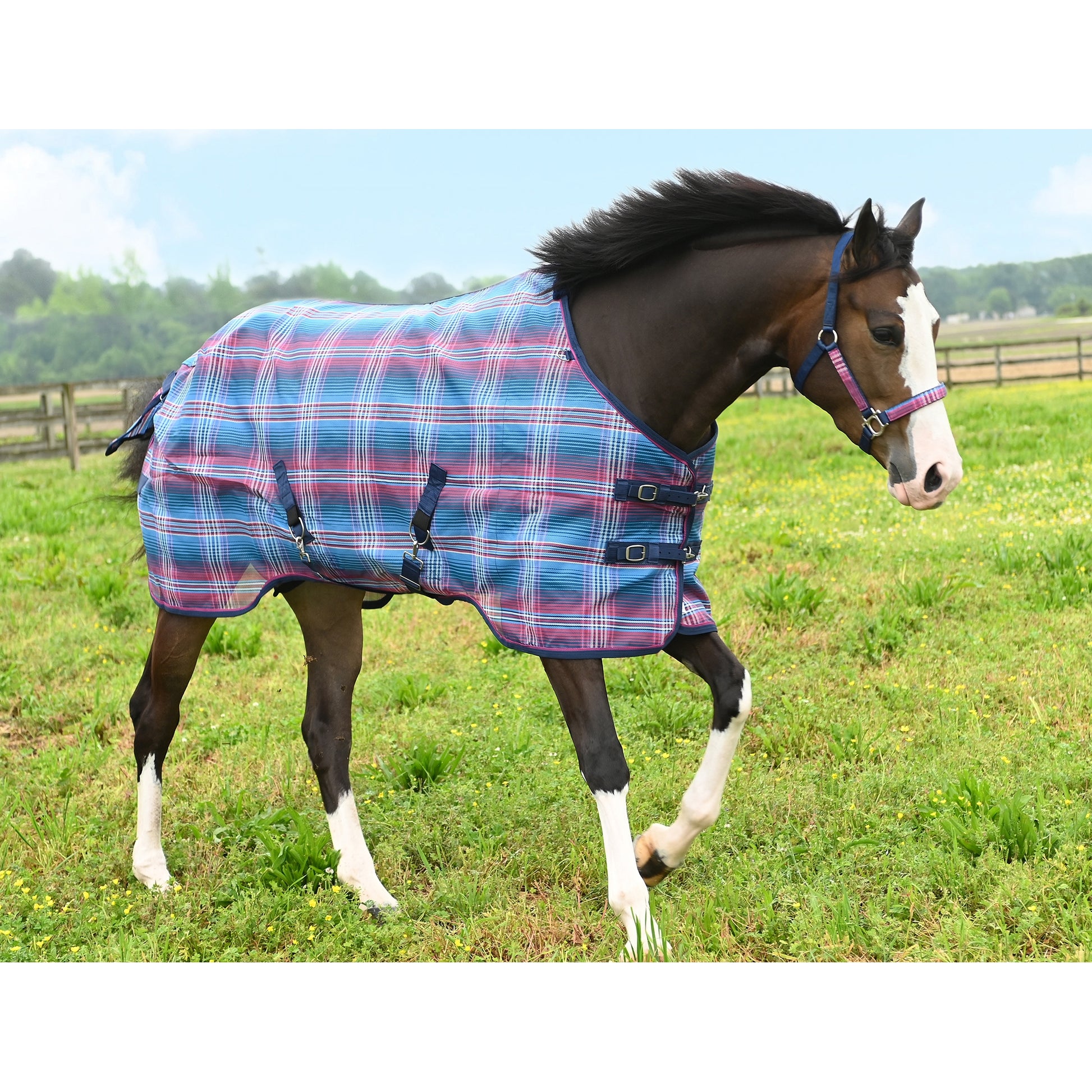 Kensington Pony Protective Fly Sheet