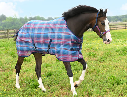 Kensington Pony Protective Fly Sheet