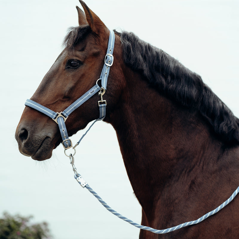 Horze Lurex Glitter Halter & Lead