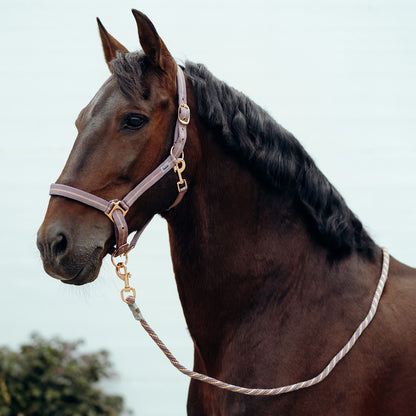 Horze Lurex Glitter Halter & Lead