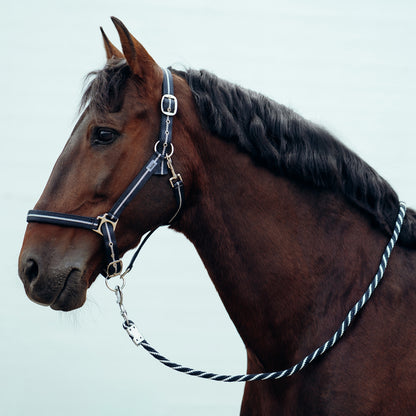Horze Lurex Glitter Halter & Lead