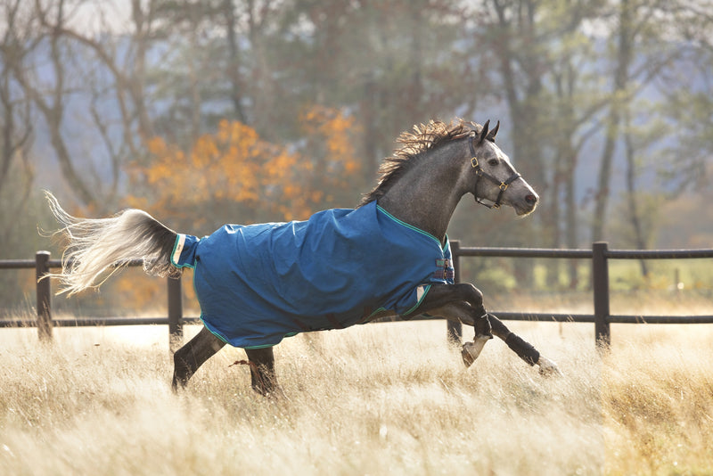 Horseware Rhino Original Lite Turnout Sheet