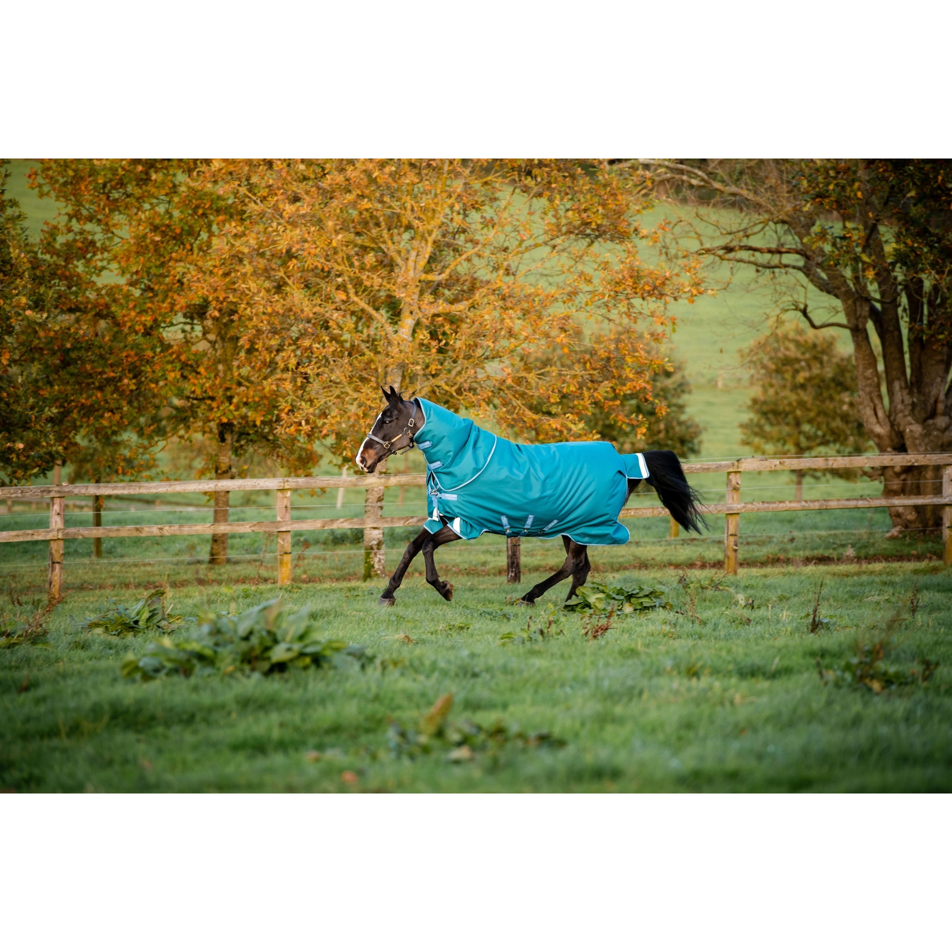 Amigo Bravo 12 Plus 400g V-Front Turnout Blanket