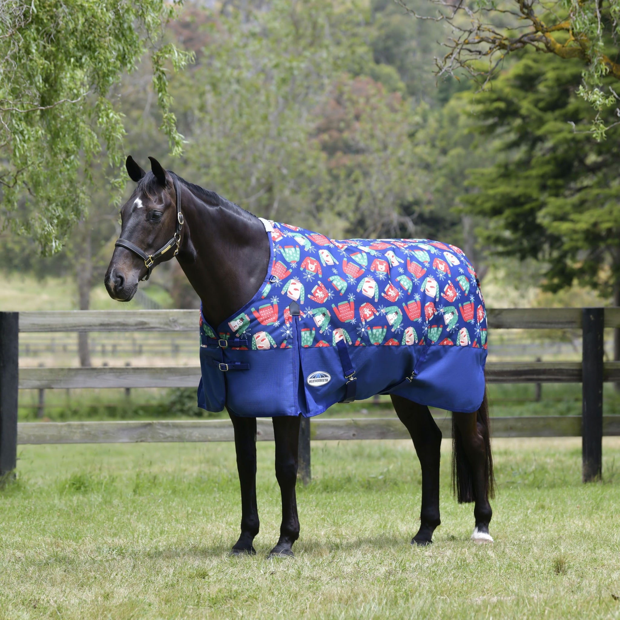 Couverture Légère Imperméable WeatherBeeta Comfitec Essentiel - Taille Standard, Imprimé Hippocampe
