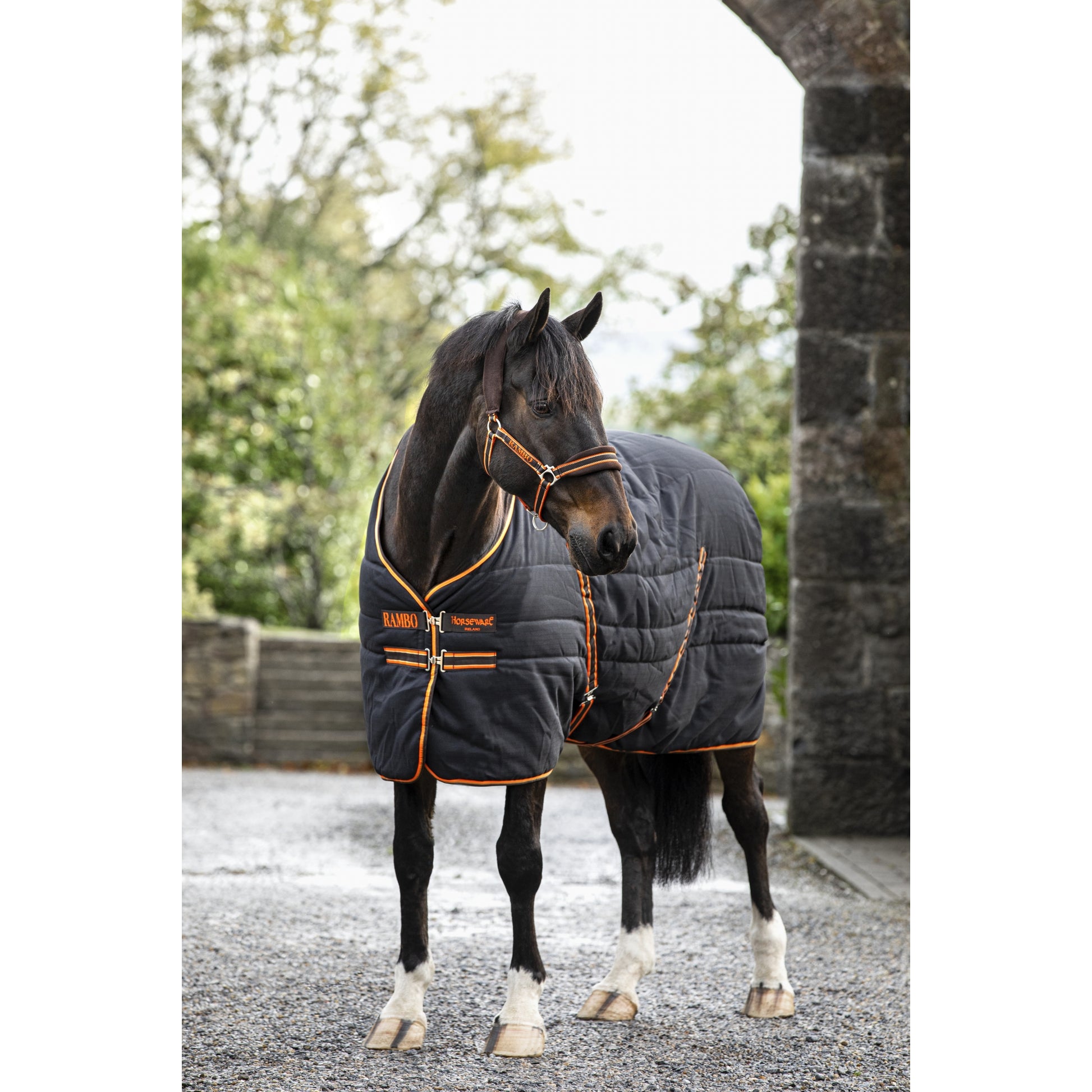 Rambo Stable Blanket (200g Medium)