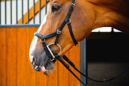 Horseware Micklem Deluxe Competition Bridle with Reins