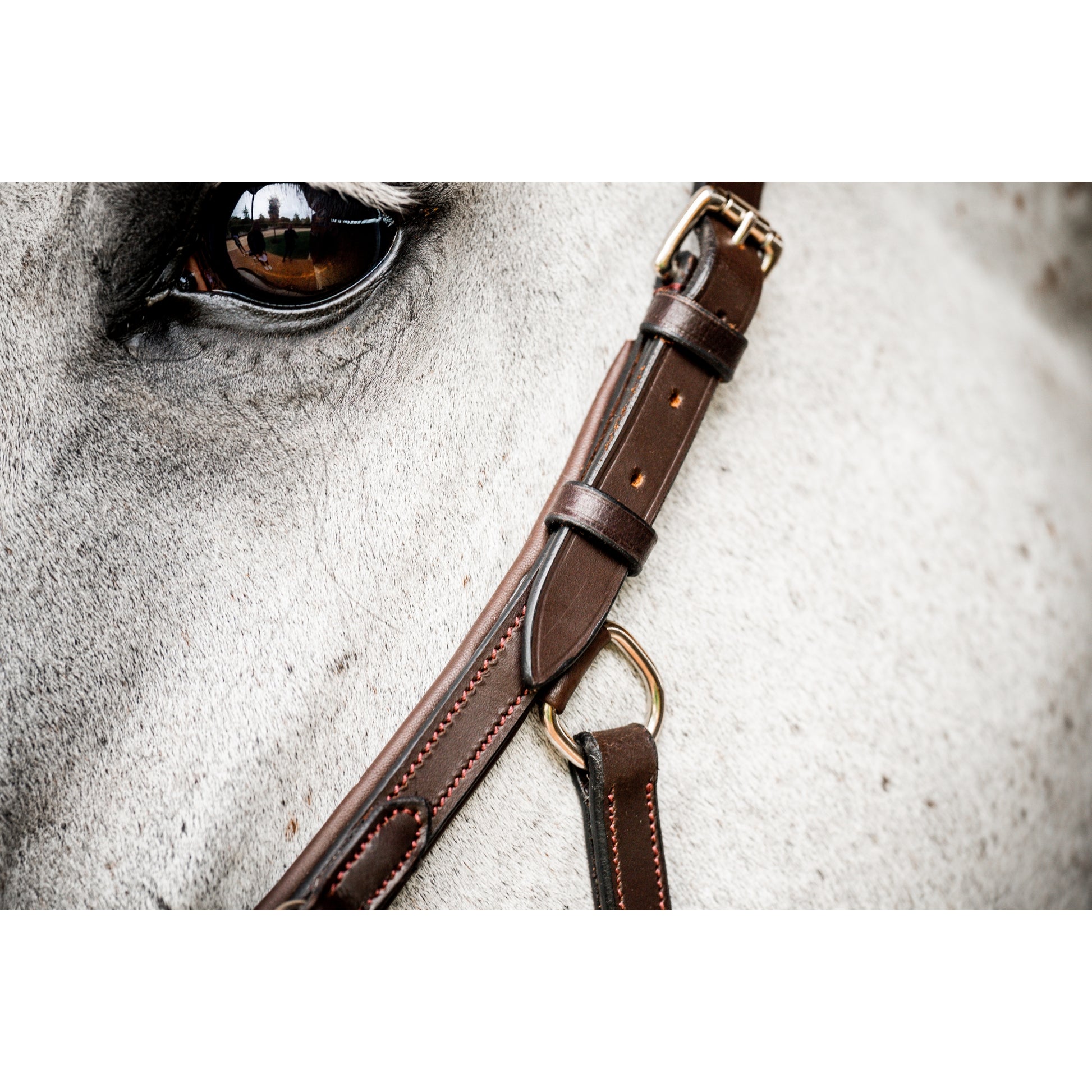 Horseware Micklem Deluxe Competition Bridle with Reins