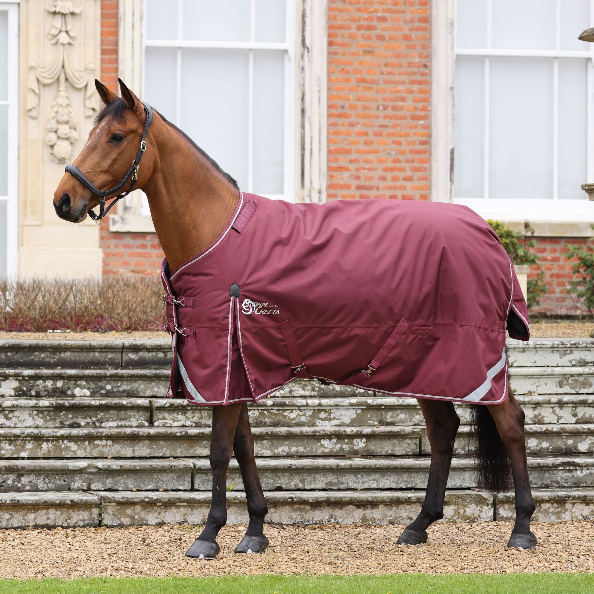 Shires StormCheeta 300 Blanket and Neck Set
