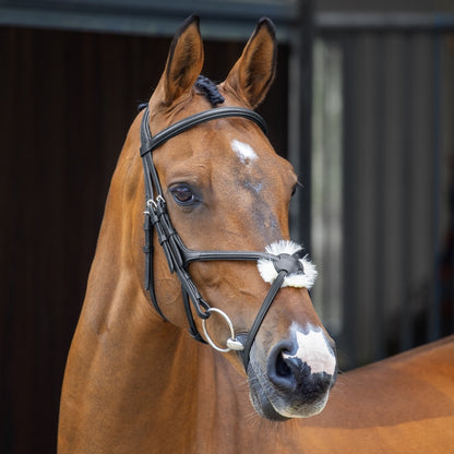 Shires Velociti Lusso Grackle Bridle