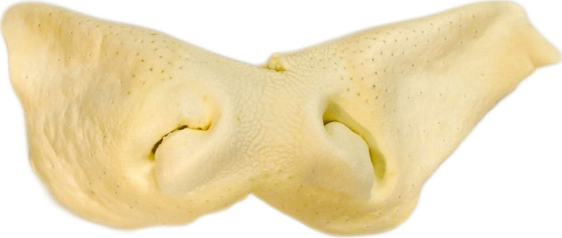 Nature's Own USA Not-Rawhide Chew Treat
