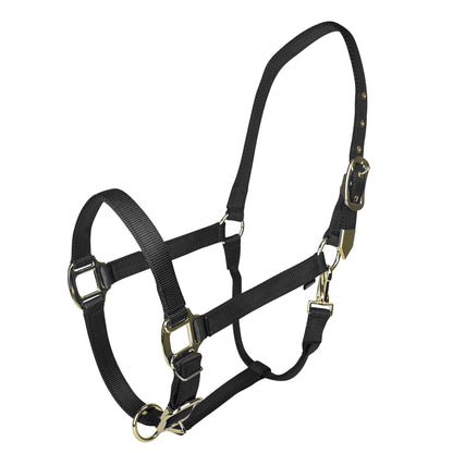 🎁 Gatsby Gold Adjustable Nylon Halter with Snap (100% off)