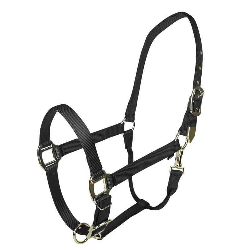 🎁 Gatsby Gold Adjustable Nylon Halter with Snap (100% off)