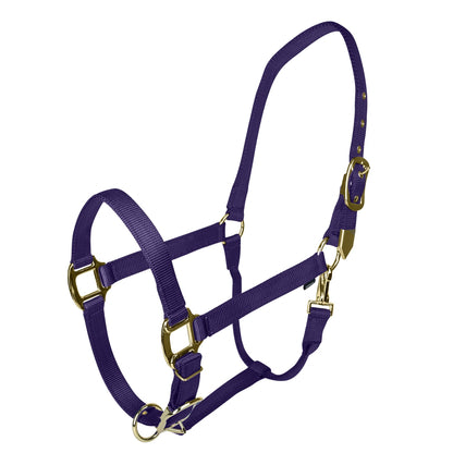 🎁 Gatsby Gold Adjustable Nylon Halter with Snap (100% off)