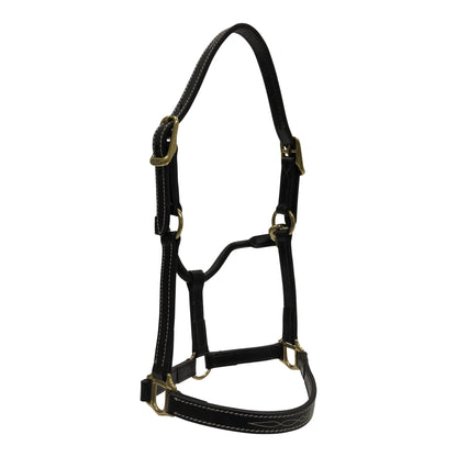 Huntly Equestrian Fancy Stitched Traditional Halter