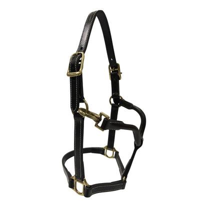 Huntly Equestrian Fancy Stitched Traditional Halter