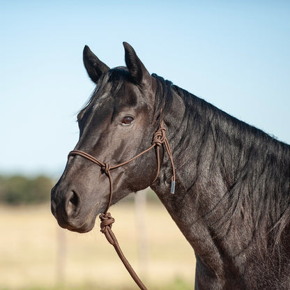 Classic Equine Econo Rope Halter and 8-foot Leadrope