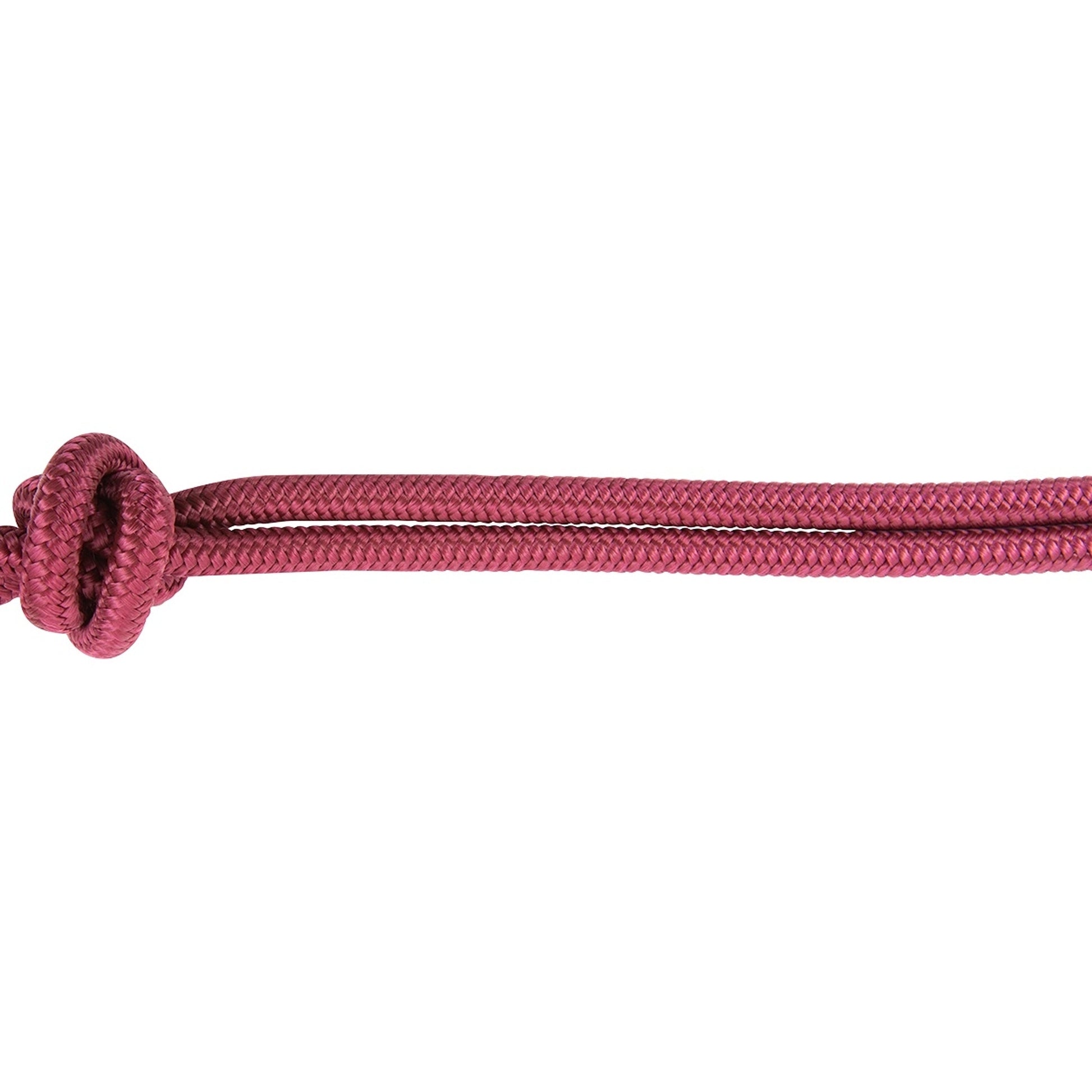 Classic Equine Econo Rope Halter and 8-foot Leadrope