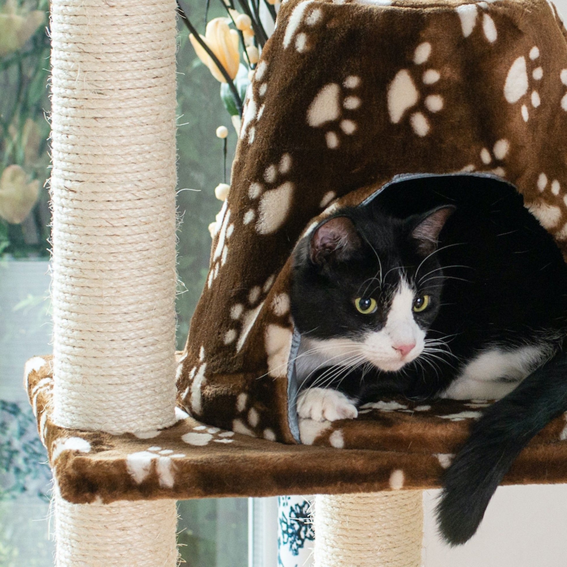 Armarkat A6601 Real Wood Classic Cat Tree with Paws