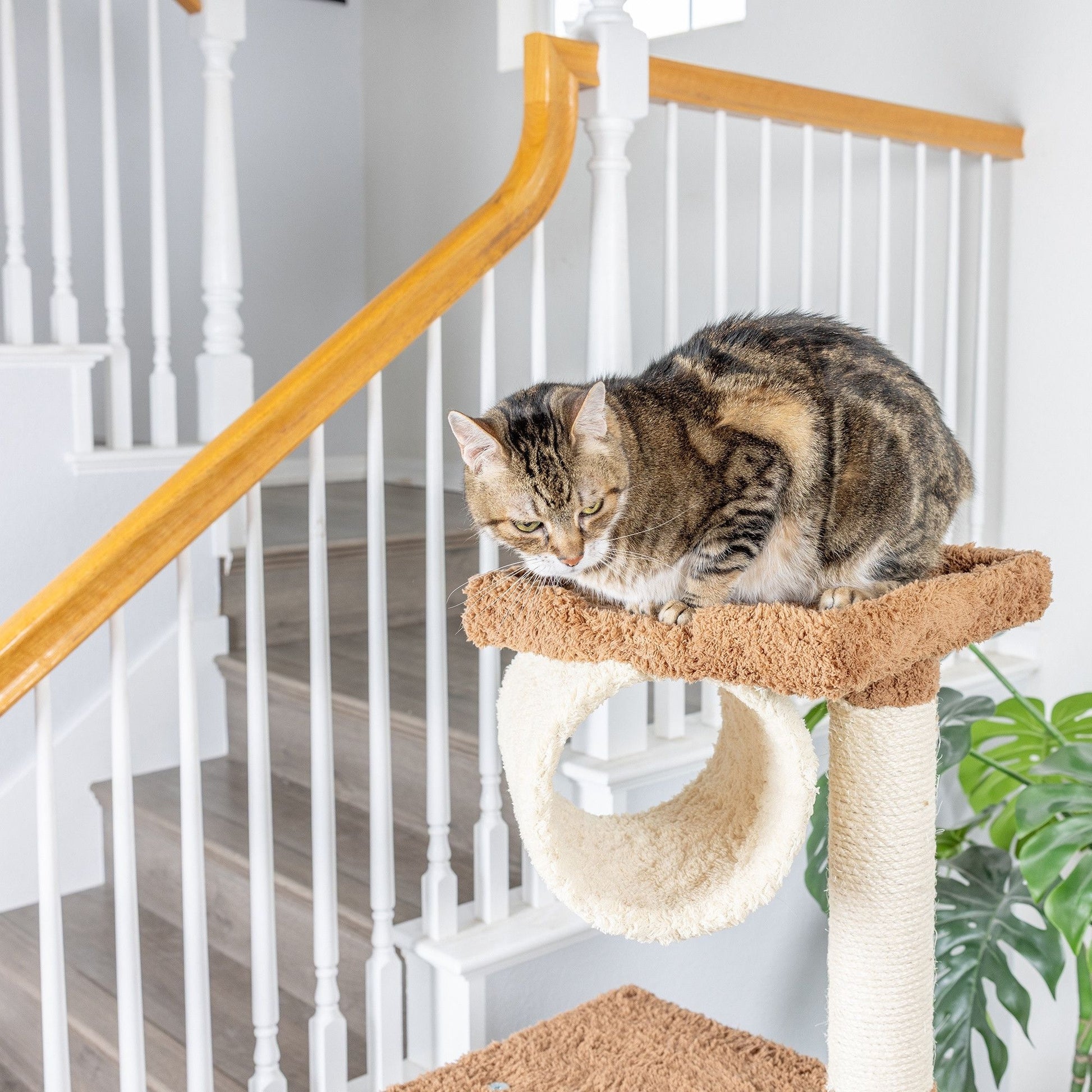 Armarkat X7001 Real Wood Cat Tree