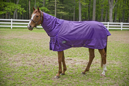 TuffRider 1680D Super Comfy Detachable Neck Turnout Blanket 350gm