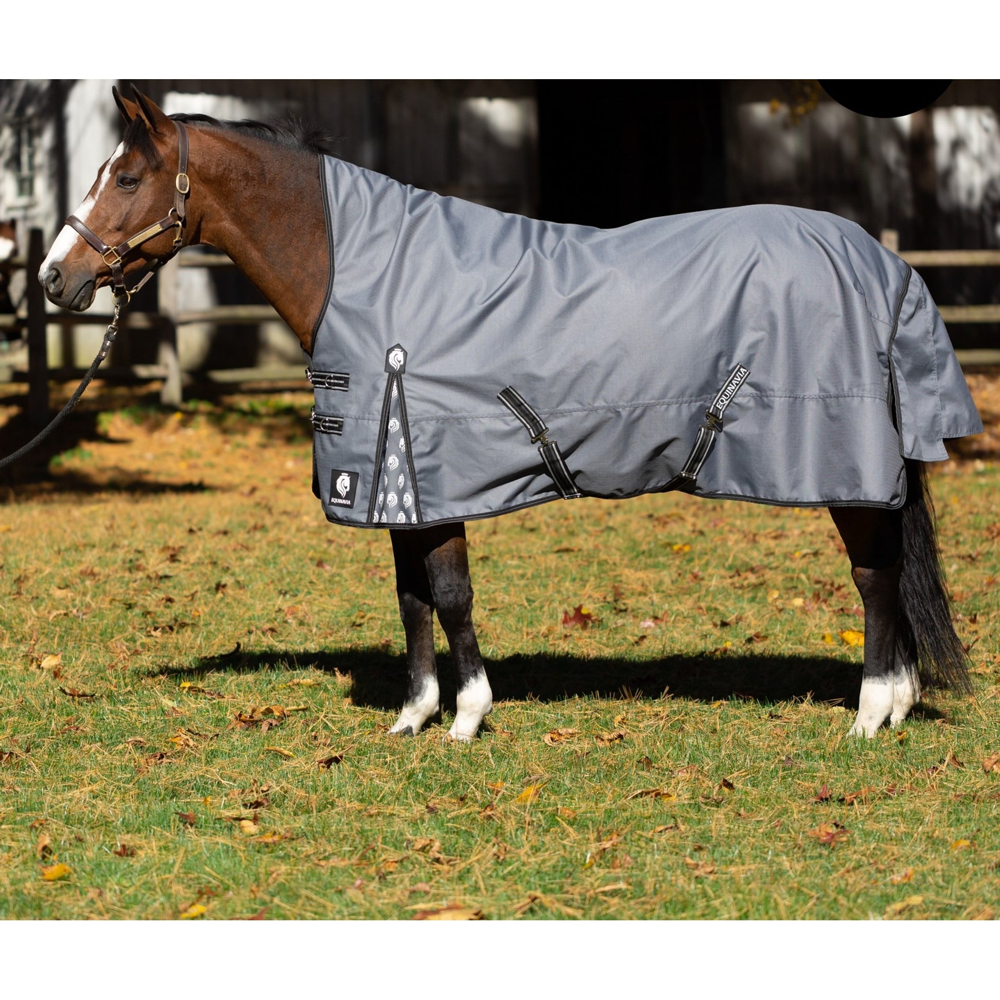 Equinavia Arktis Extended Neck Turnout Sheet