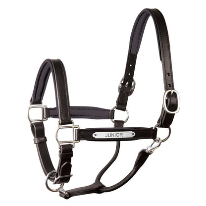 Perri's Personalized Padded Leather Halter
