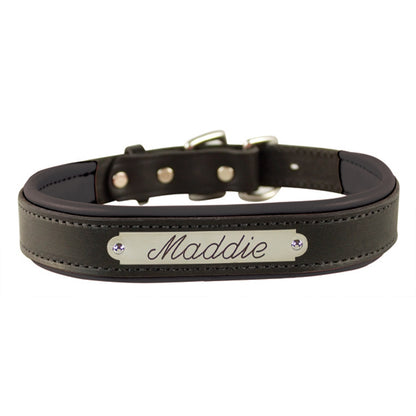 Perri's Personalized Padded Leather Dog Collar