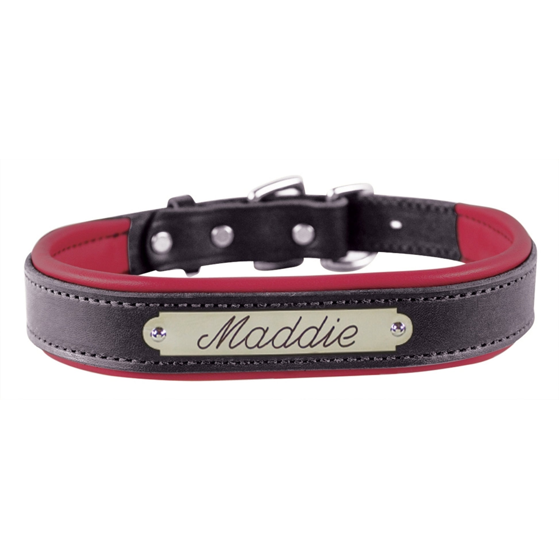 Perri's Personalized Padded Leather Dog Collar