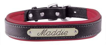 Perri's Personalized Padded Leather Dog Collar