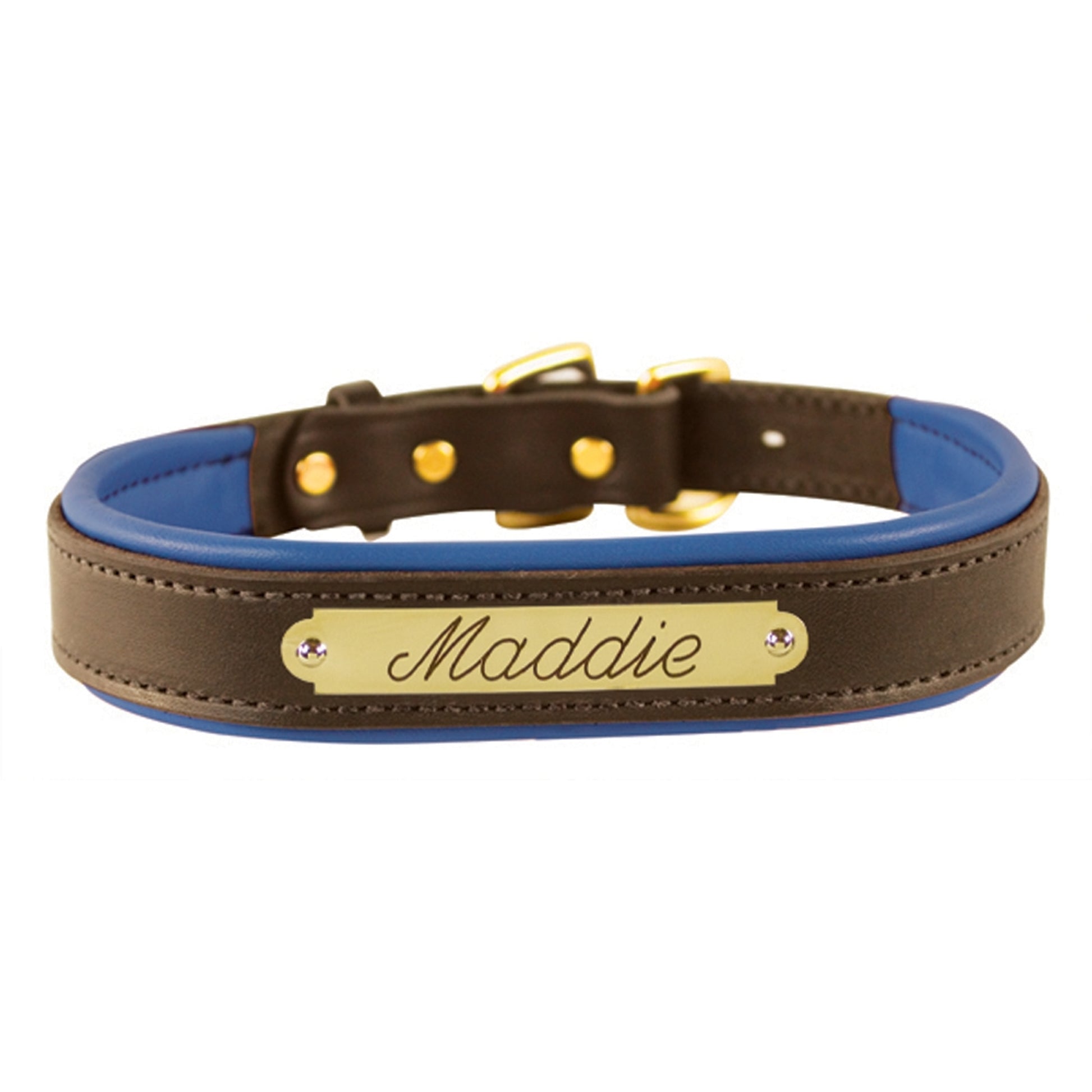 Perri's Personalized Padded Leather Dog Collar
