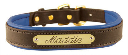 Perri's Personalized Padded Leather Dog Collar
