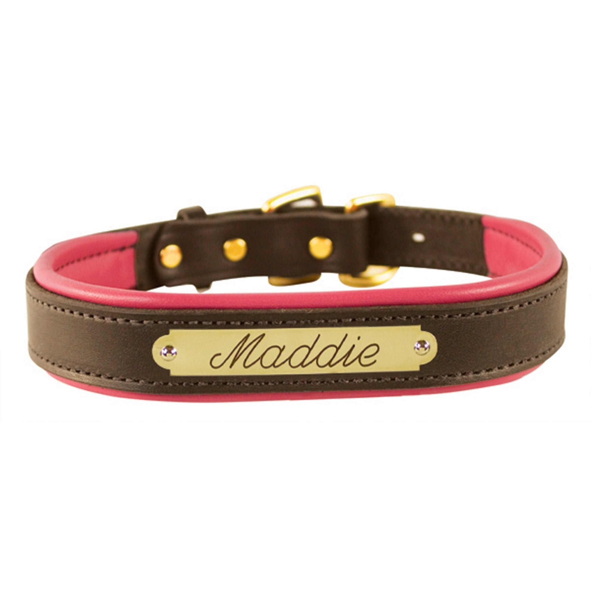 Perri's Personalized Padded Leather Dog Collar