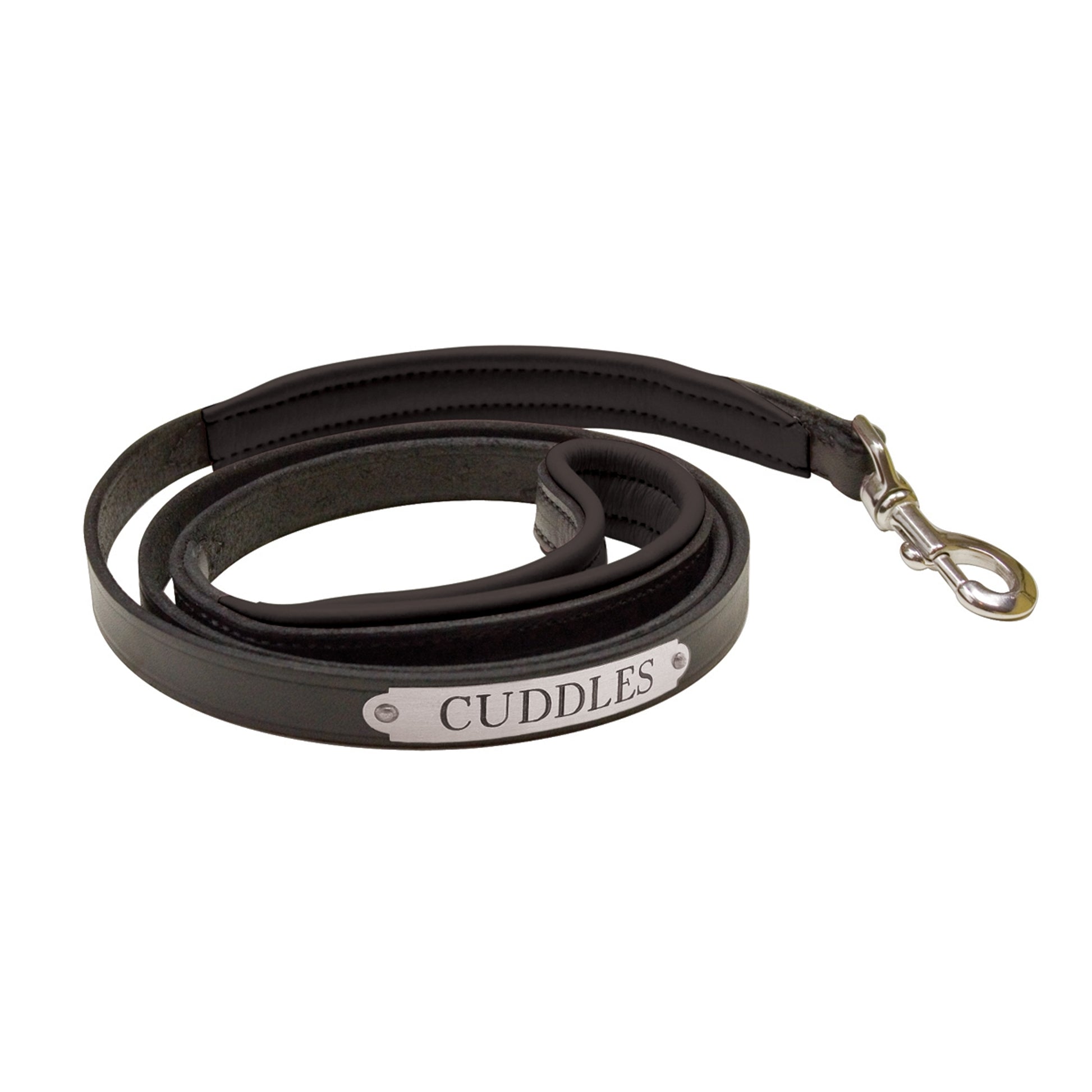 Perri's Personalized Padded Leather Dog Leash