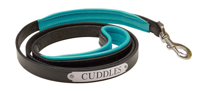 Perri's Personalized Padded Leather Dog Leash