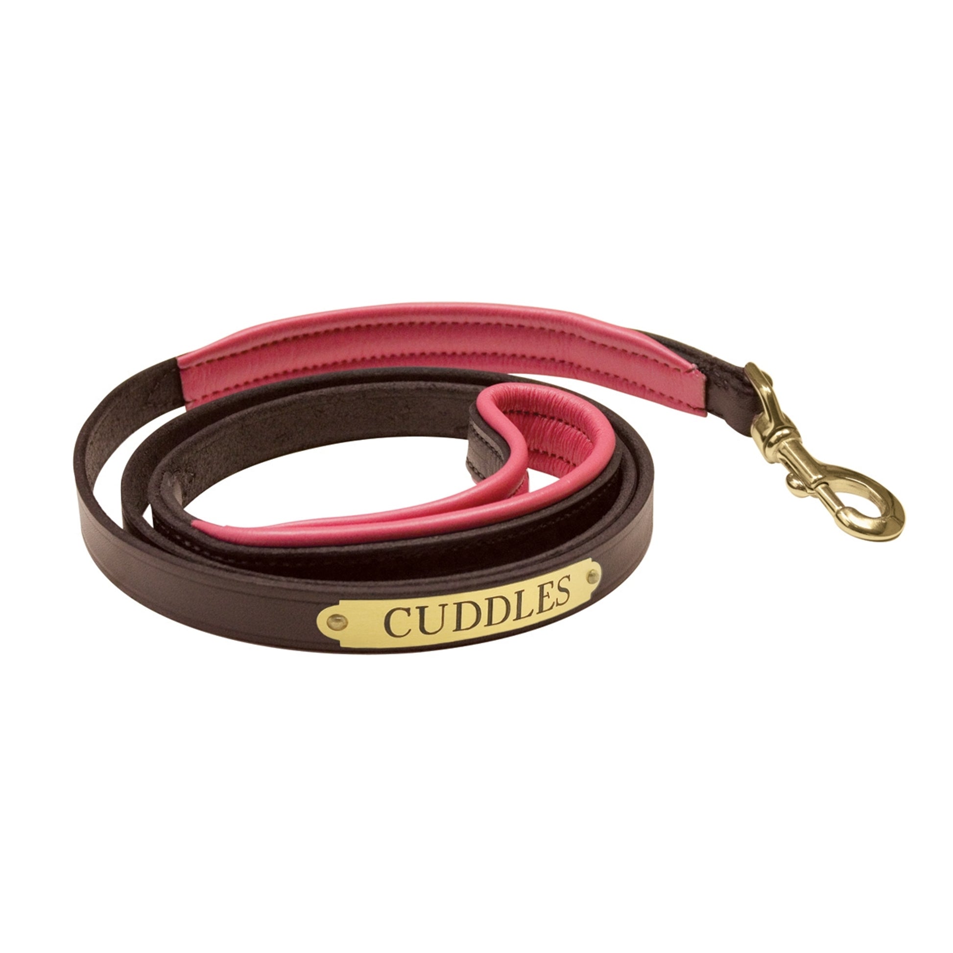 Perri's Personalized Padded Leather Dog Leash