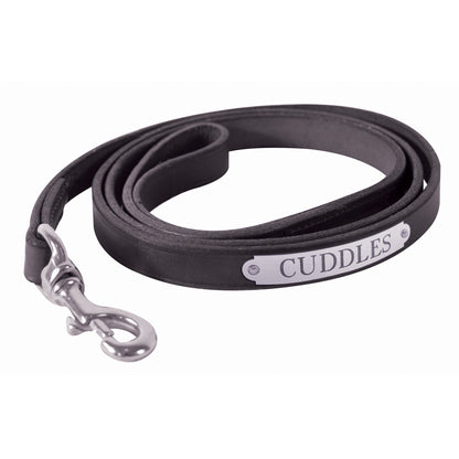 Perri's Personalized Plain Leather Dog Leash